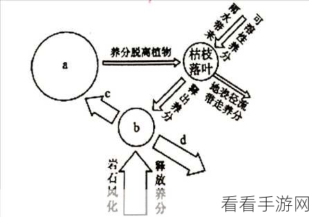 探秘 Rust Asref 在生态系统的关键位置