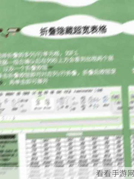 WPS Excel 工资额隐藏秘籍大公开