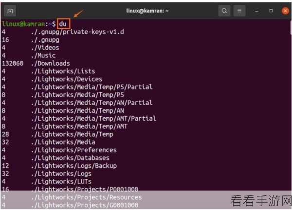 Linux 中 du 命令与磁盘空间监控的深度探究