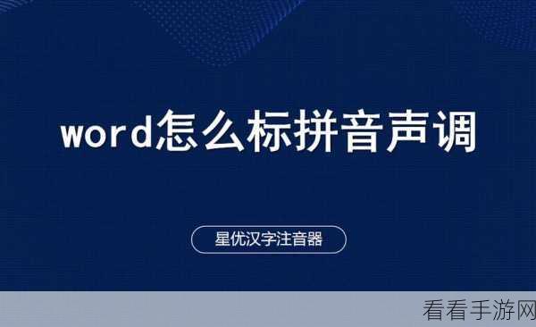 轻松掌握，Word 文档声调输入秘籍