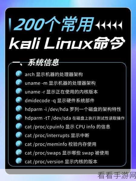 Linux 中 du 命令的版本适用性探秘