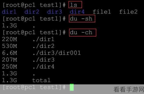 Linux 中 du 命令能否揭示隐藏文件之谜？