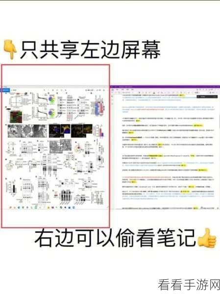 腾讯会议无法共享屏幕？终极解决指南在此！