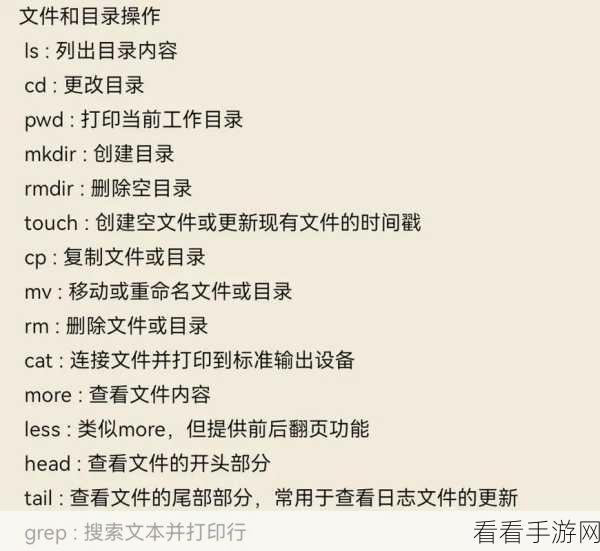 掌握 Linux 的 du 命令，精准统计文件大小秘籍
