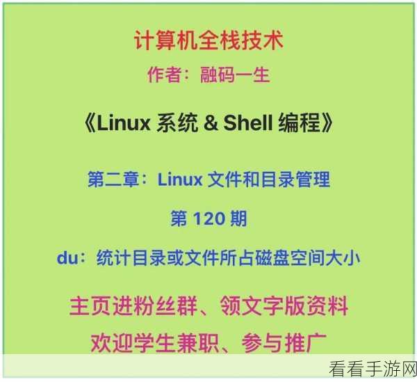 掌握 Linux 的 du 命令，精准统计文件大小秘籍