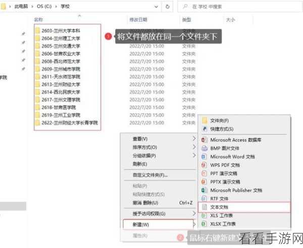 轻松掌握优速文件名提取器，详细使用秘籍大公开