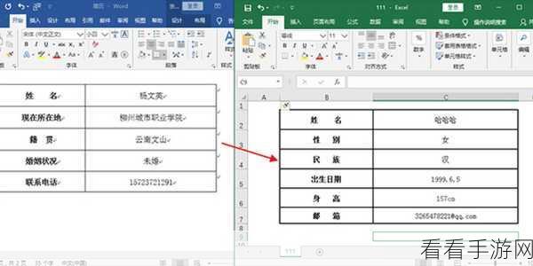 轻松搞定 Excel 数据同步到 Word 的秘籍