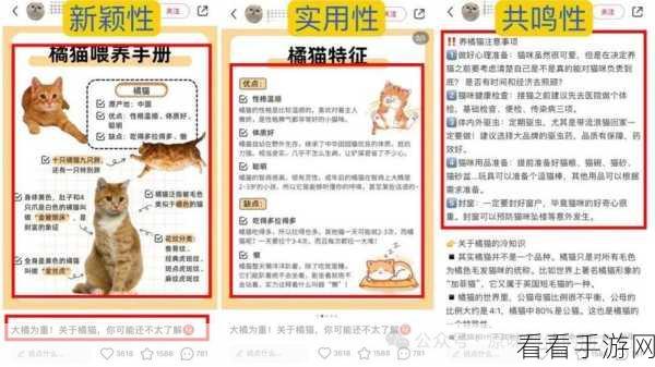 小红书笔记文章模板,功能与设置秘籍大揭秘