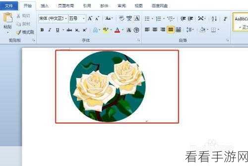 轻松搞定!WPS 演示中图片形状圆形化与形状图片填充秘籍