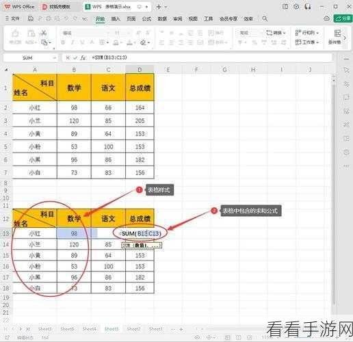 轻松解决！WPS Excel 中公式不显示结果的难题攻略