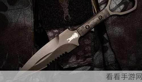 匕首Knife，挑战你的智慧极限，休闲益智闯关新体验