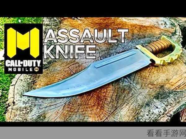 匕首Knife，挑战你的智慧极限，休闲益智闯关新体验