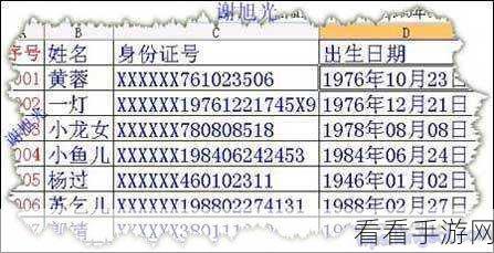 轻松解决 WPS 表格中身份证号乱码难题