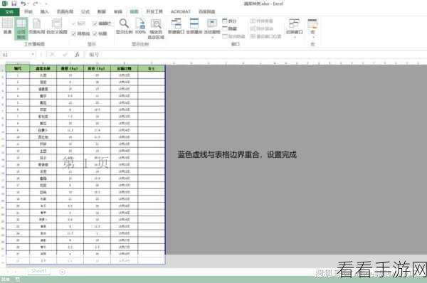 Excel 表格居中打印秘籍大公开