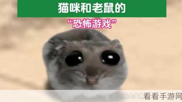 萌翻恐怖氛围！盯着鬼魂的猫游戏下载指南，可爱与惊悚的完美碰撞