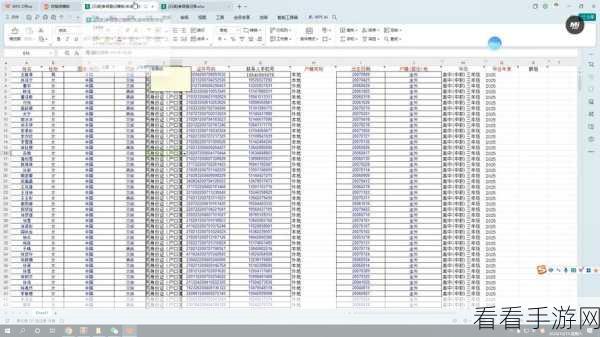 WPS Excel 多关键字筛选秘籍大公开