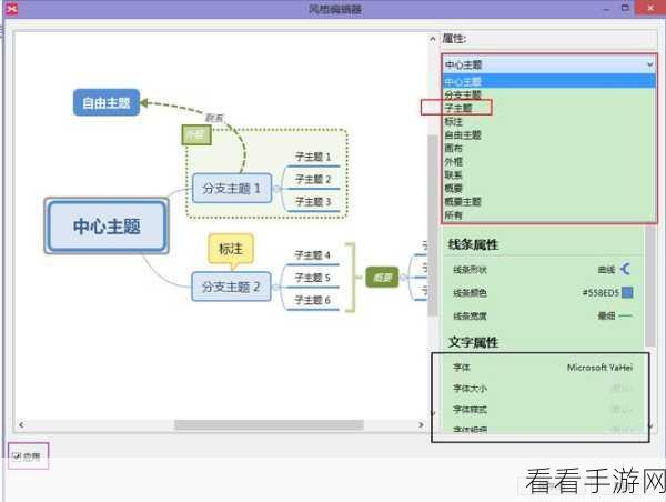 轻松掌握！XMind 部分文字字体修改秘籍