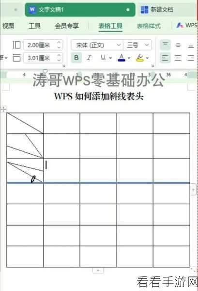 WPS 表格单元格斜线绘制秘籍，轻松搞定的实用方法