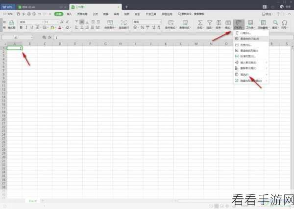 轻松掌握！WPS Excel 序号自动递增 10 编号的绝妙设置法