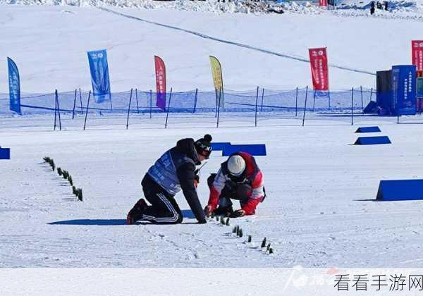 阿拉斯加越野滑雪赛，极速挑战，冰雪激情下载指南