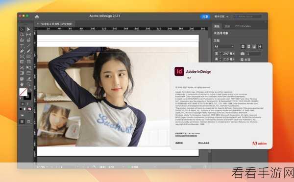 轻松搞定 Adobe InDesign 页码设置秘籍