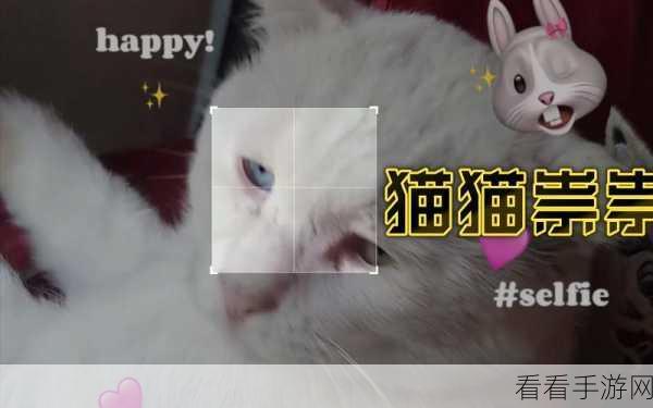 萌宠出击！猫咪守卫战策略塔防新体验下载开启