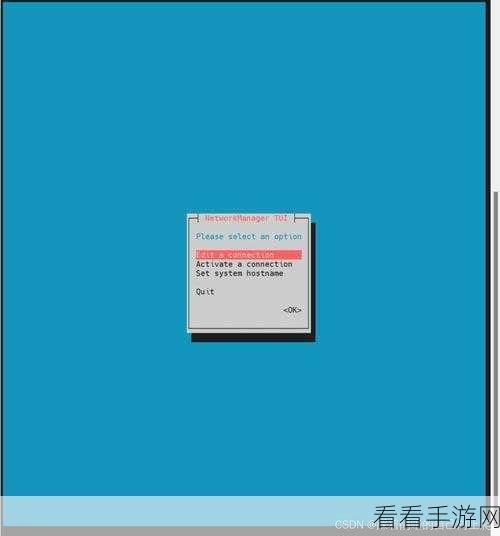 掌握 Linux nmtui 命令,轻松重启网络服务秘籍