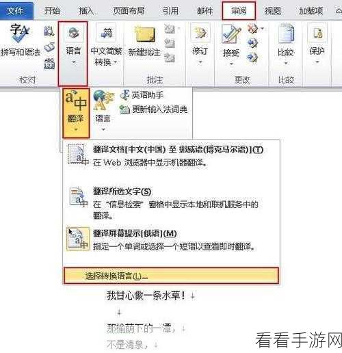轻松掌握 ImTranslator 翻译字典插件使用秘籍
