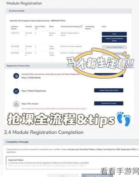 轻松搞定！BluffTitler 软件中文界面设置秘籍