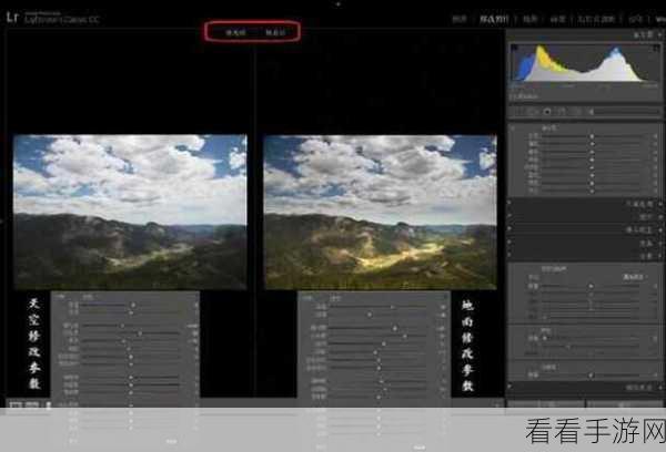 轻松搞定!Lightroom 去除脸部污点秘籍大公开