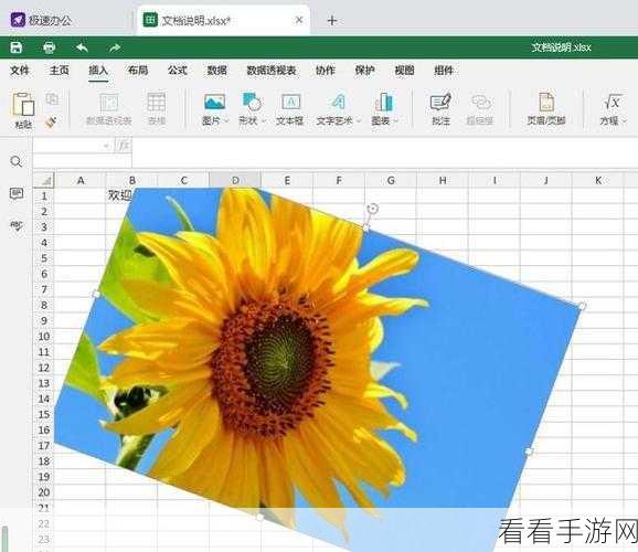 轻松掌握 Excel 图片旋转秘籍,让你的表格更出色!