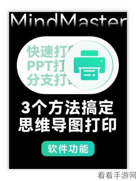 轻松搞定！MindMaster 界面语言切换秘籍