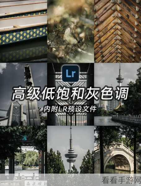 Lightroom 裁剪照片秘籍，尺寸随心裁