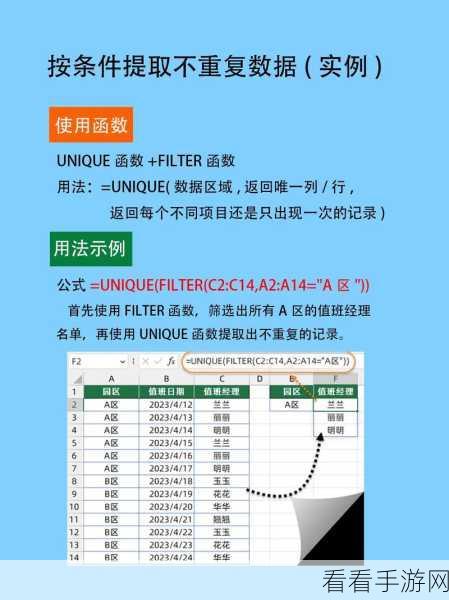 WPS 表格，轻松提取不重复记录的秘籍