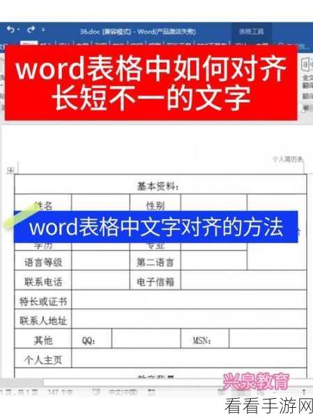 Word 文档两行文字精准对齐秘籍