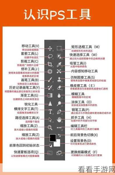 轻松掌握 Adobe Animate 套索工具，详细教程与实用技巧