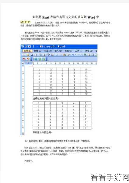 轻松掌握，Word 图片嵌入表格的完美攻略