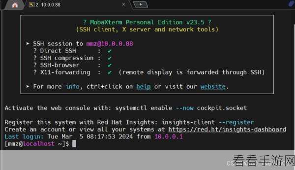 掌握 Linux nmtui 命令，轻松查看网络接口状态秘籍