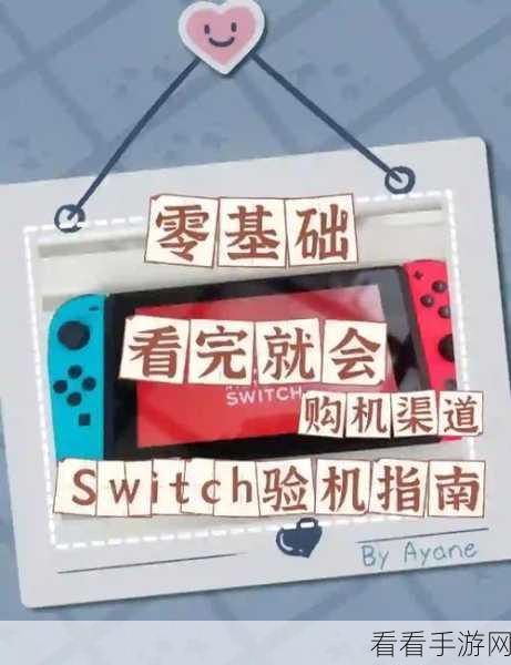 轻松搞定！Switch 连接电脑的详细指南