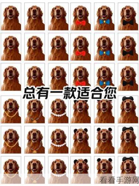 轻松搞定！光影魔术手制作一寸电子版照片秘籍