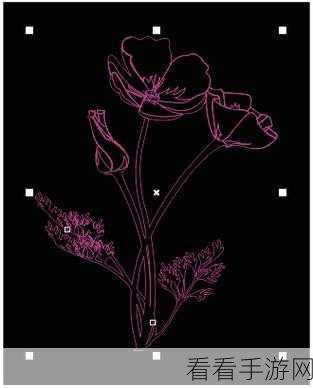 轻松掌握！CorelDRAW 提取图片线条图的绝妙方法