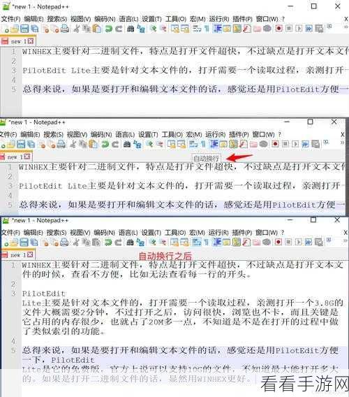 轻松搞定 Notepad 自动换行设置秘籍