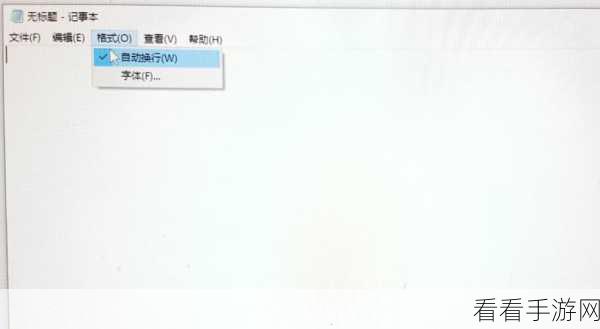 轻松搞定 Notepad 自动换行设置秘籍