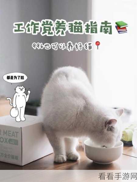 萌宠养成新体验，猫模拟器，独自在家下载指南及深度评测