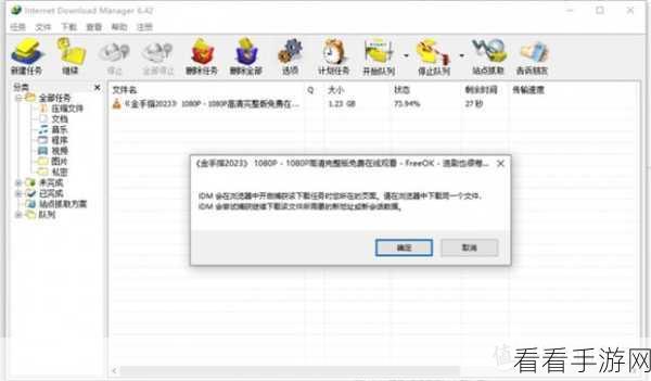 轻松掌握！IDM 批量下载多个文件的绝佳教程