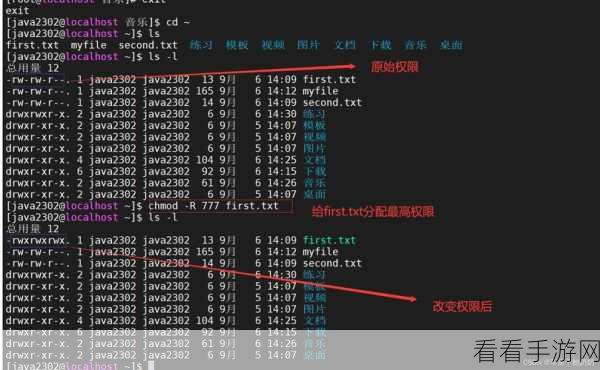 探索 Linux 命令，Install 的强大功能与用途