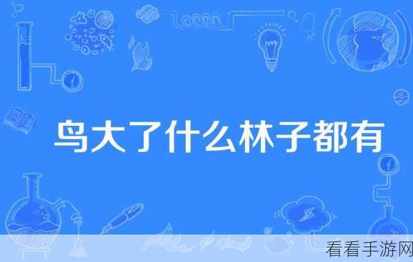 鸟大了什么林子都有官方下载-休闲小游戏