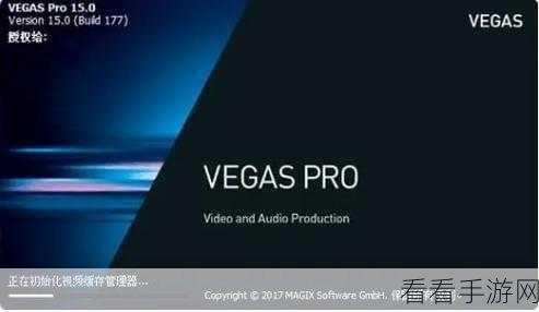 轻松搞定 Sony Vegas Pro 中视频音频取消连接秘籍