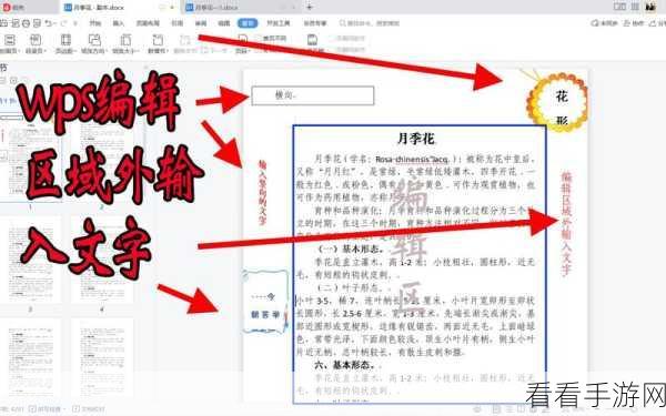 WPS PPT 字体嵌入文件秘籍，轻松搞定的实用技巧