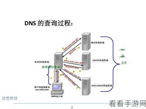 深度解析，Linux ASP 服务器的独特魅力与优势